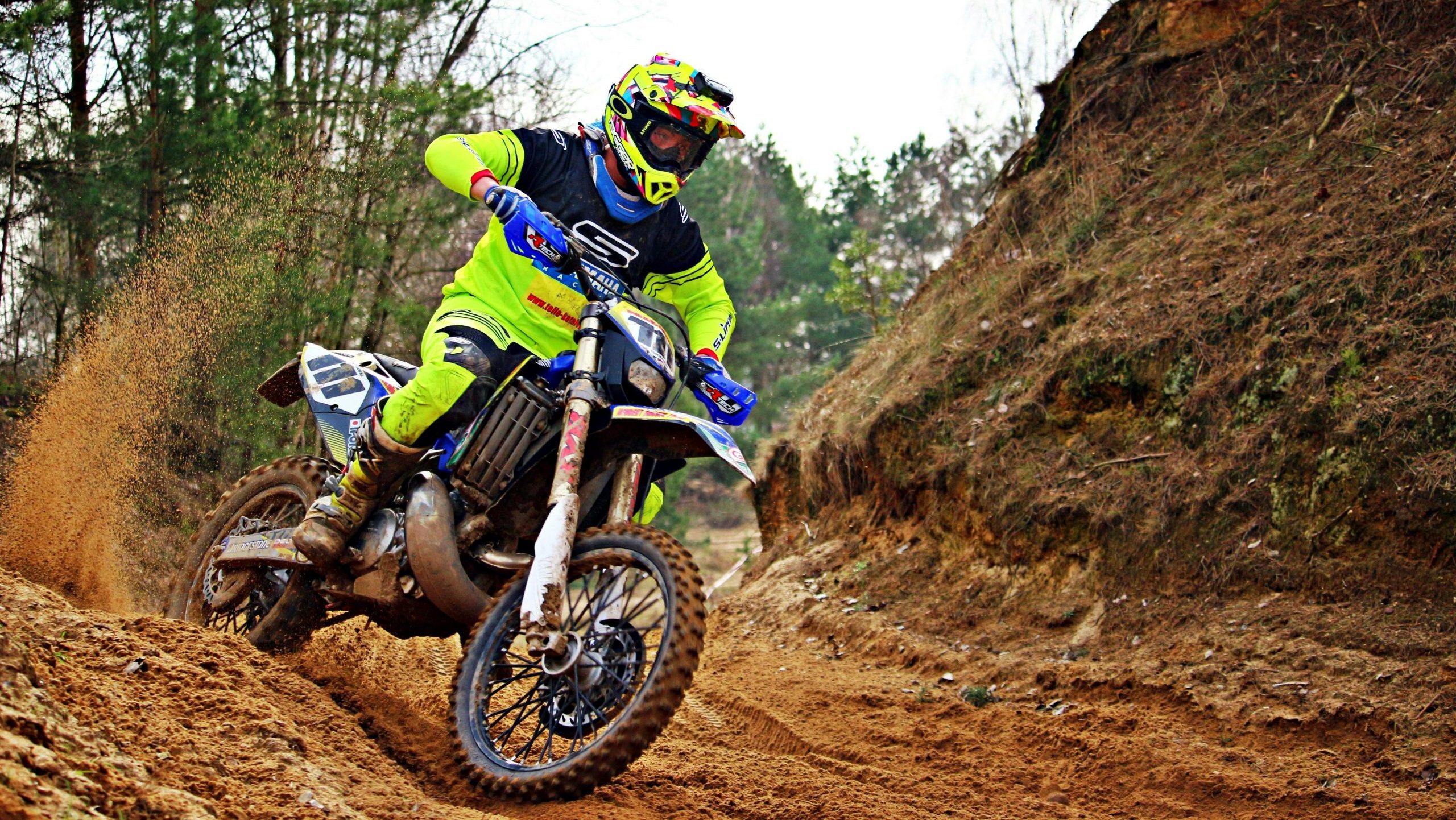Exciting motocross action shot of a biker speeding through a forest trail, showcasing skill and intensity.